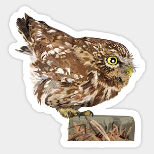 Owl Sticker